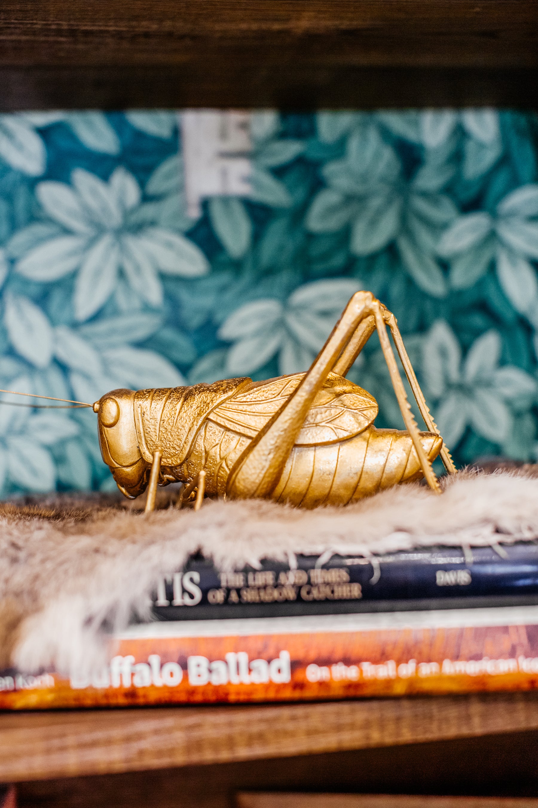 Gold Cricket