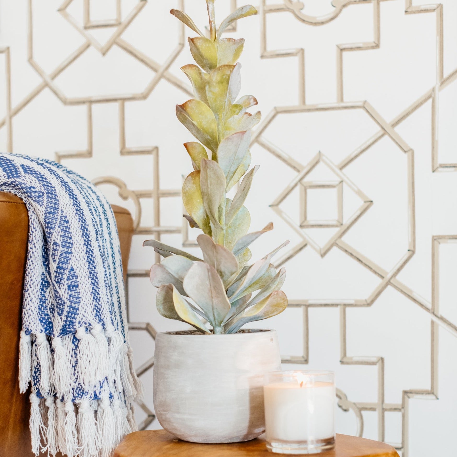 23'' Tall Faux Succulent