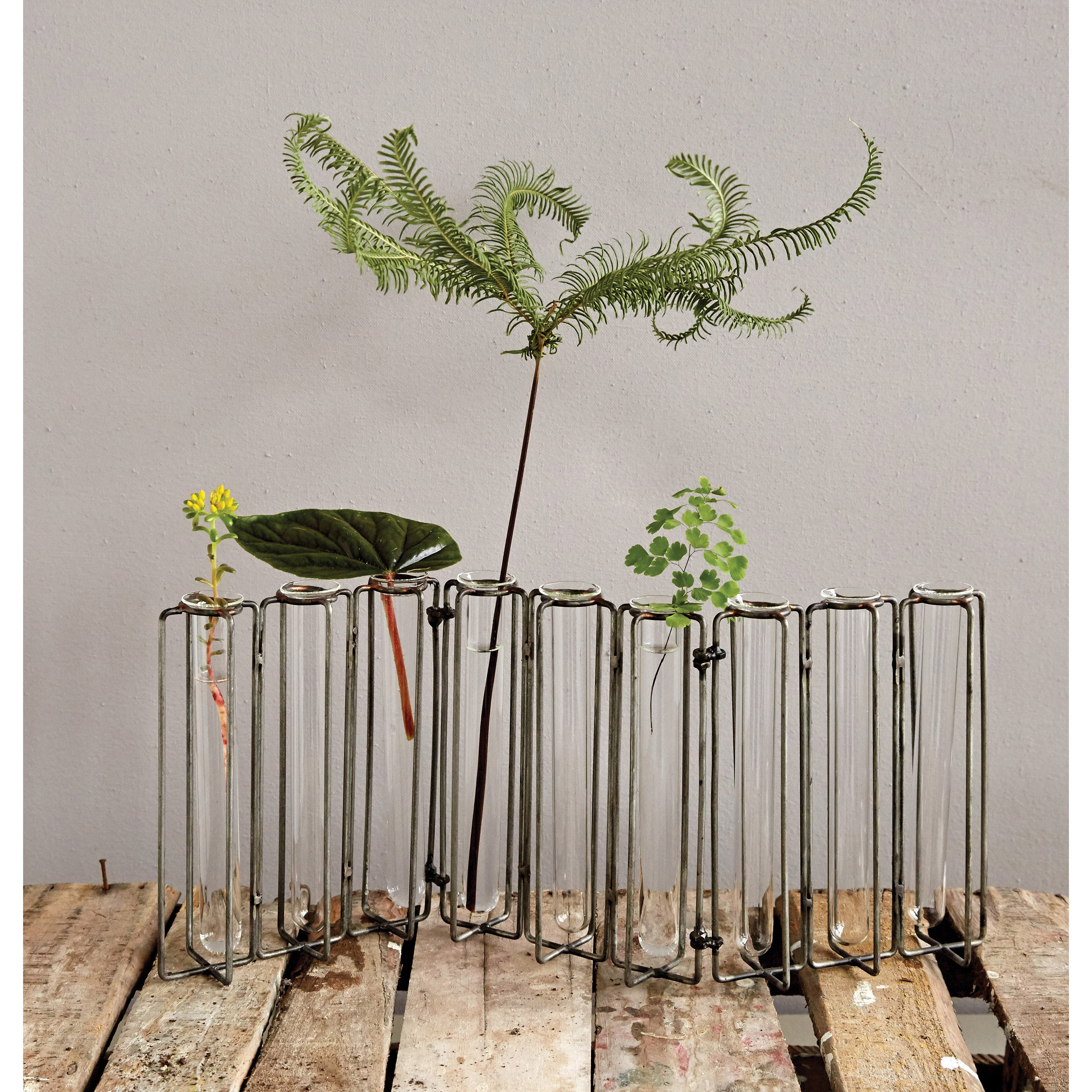 Test Tube Glass Vases in Stand