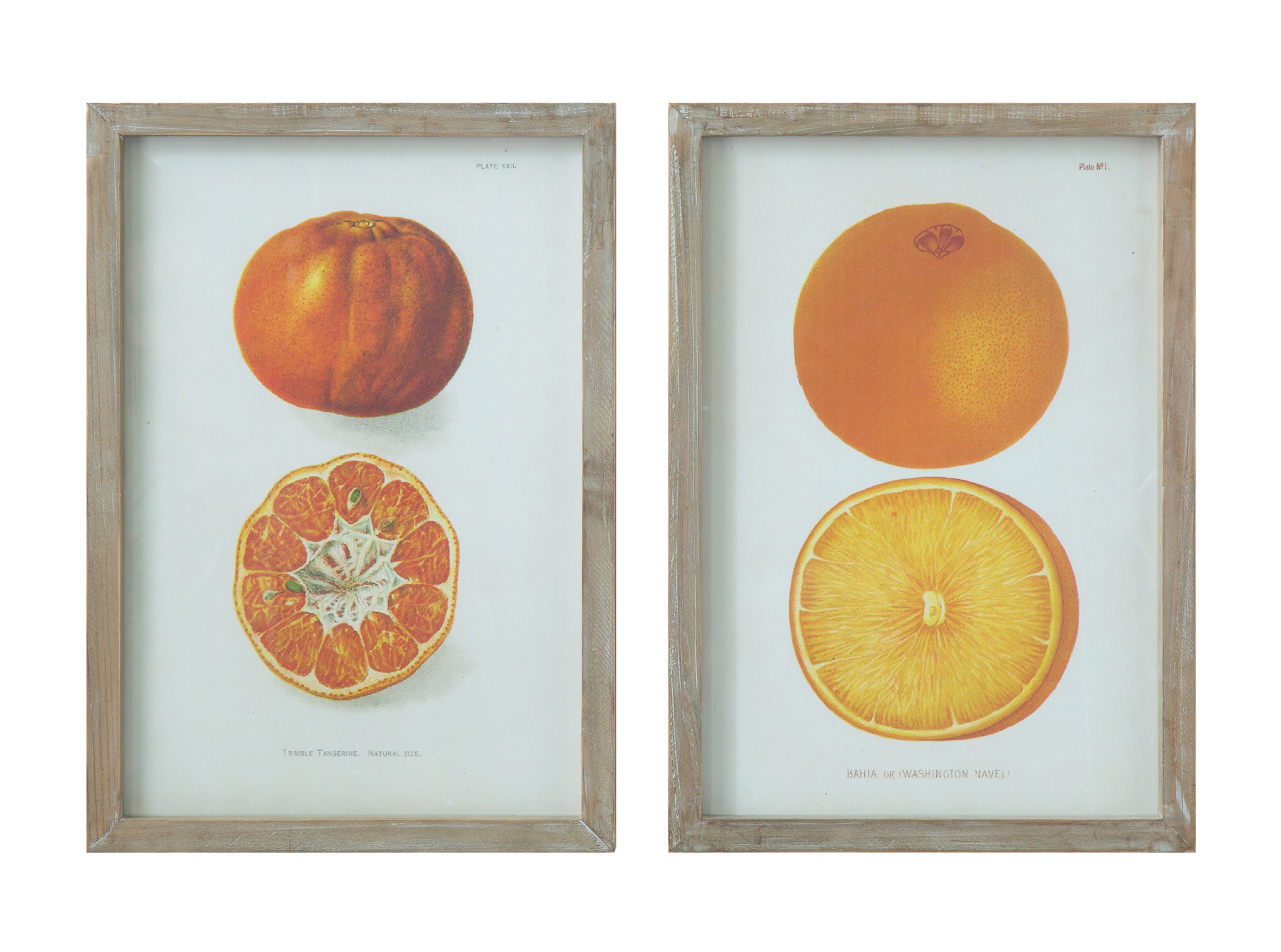Orange & Tangerine Wall Décor SET