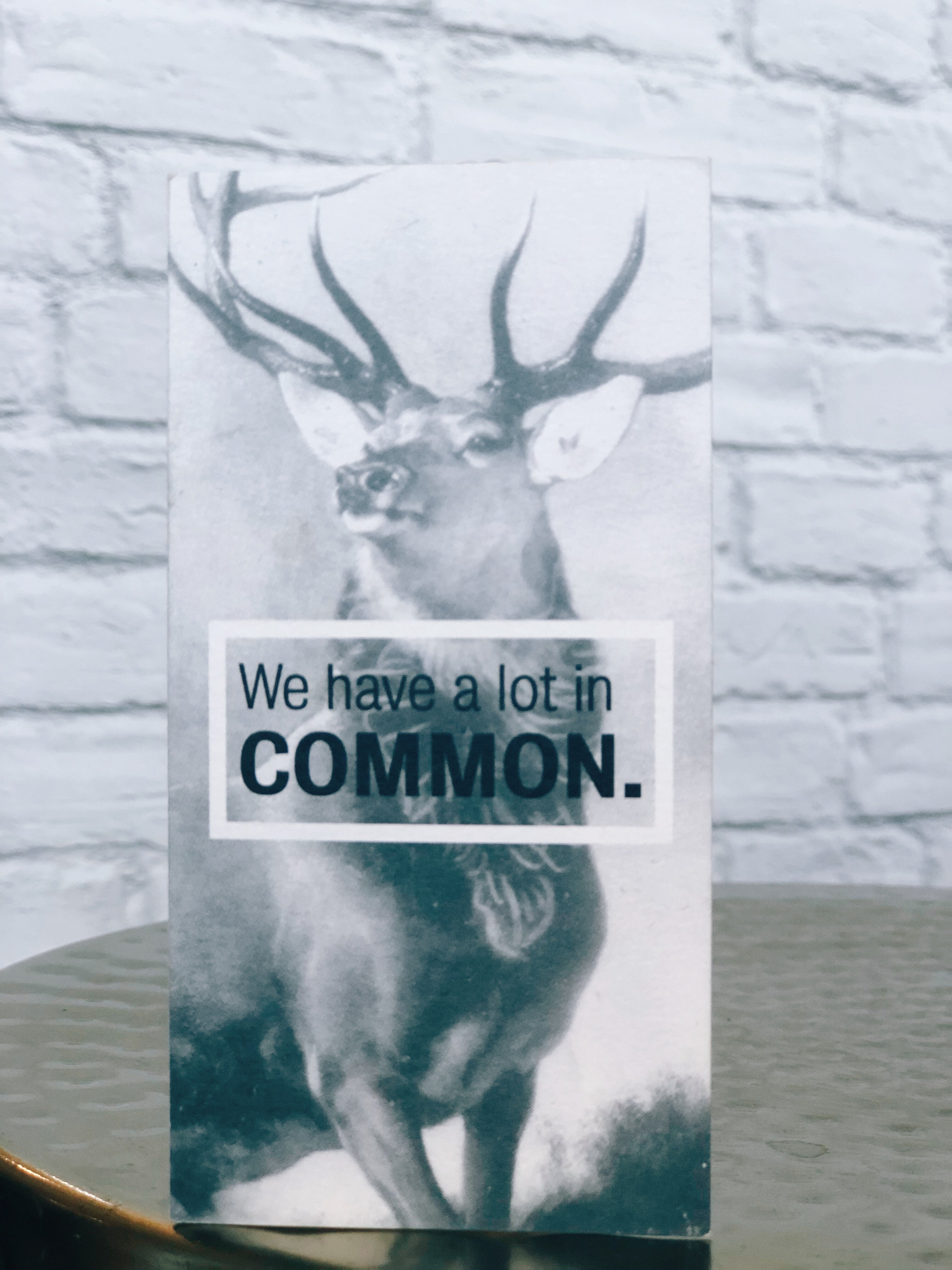 A LOT IN COMMON Card