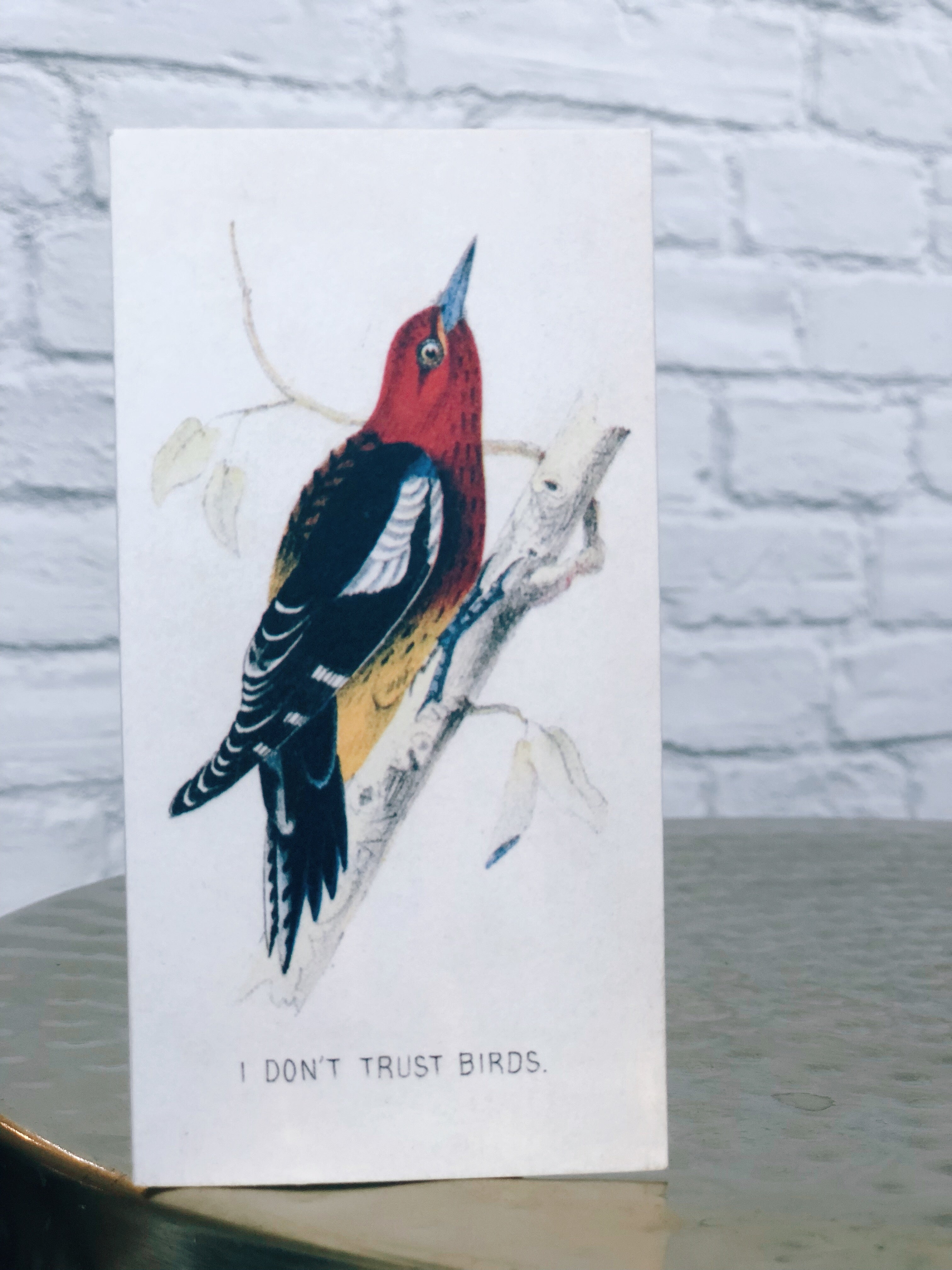 BIRDS Card