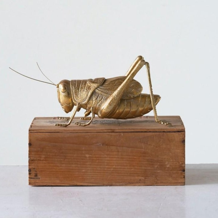 Gold Cricket